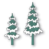Iced Pine Trees