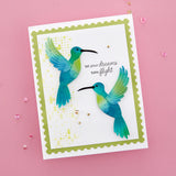 Pochoir de textures de colibris de la collection Colibris de Bibi