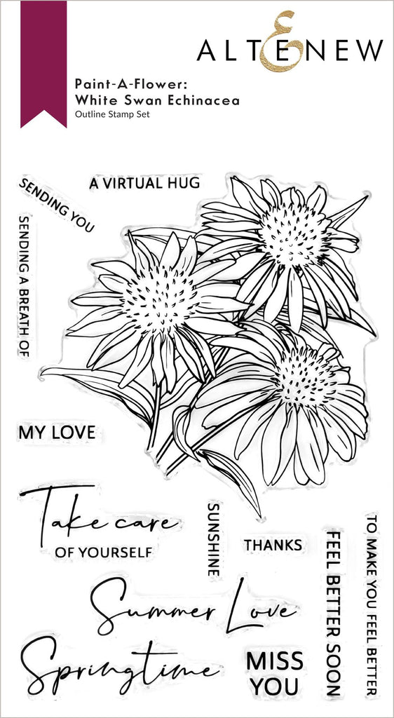 Paint-A-Flower: White Swan Echinacea Outline Stamp Set