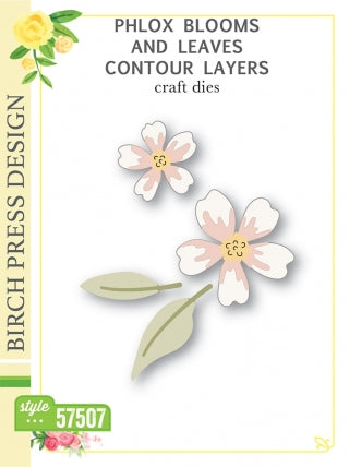 Phlox fleurit et laisse des couches de contour