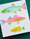 Freshwater Fish Stencil Set