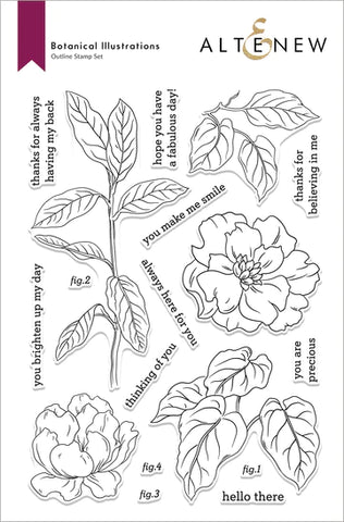 Ensemble de tampons pour illustrations botaniques