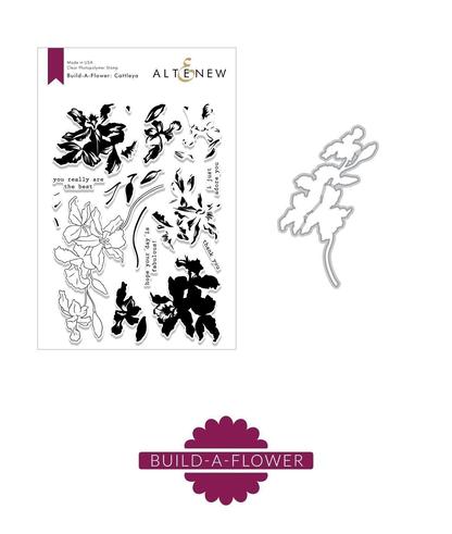 Build-A-Flower: Cattleya