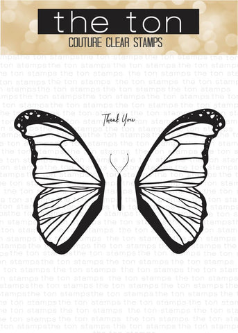 Ailes de papillon - Morpho