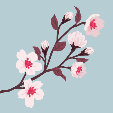 Jolies couches : fleur de cerisier