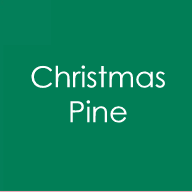 Heavy Base Weight Card Stock Christmas Pine 10pk