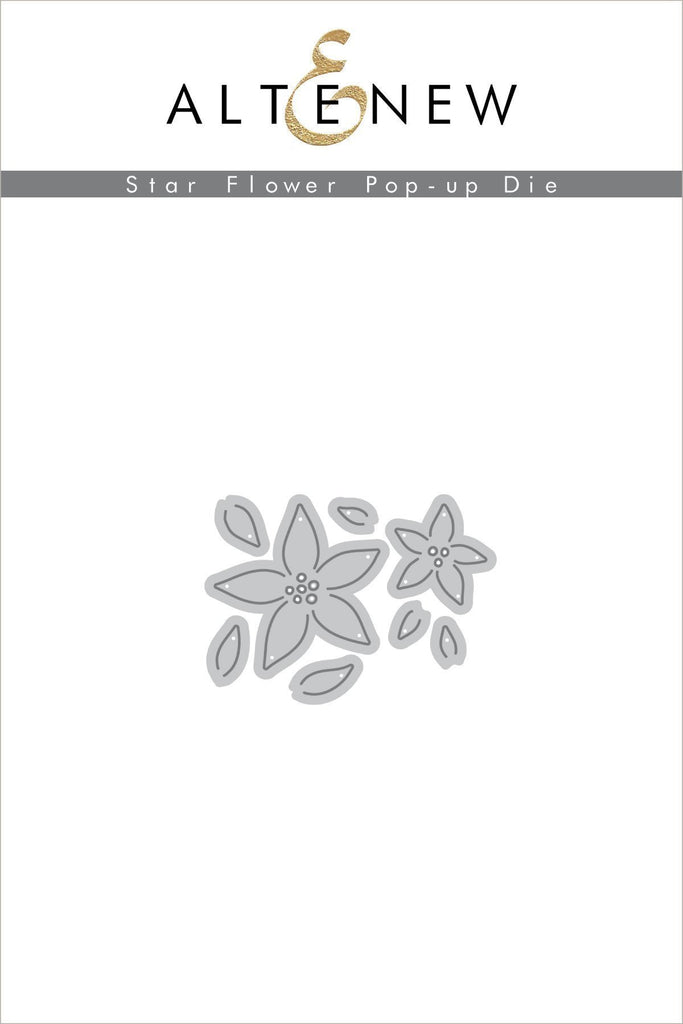 Ensemble de matrices pop-up fleur étoile