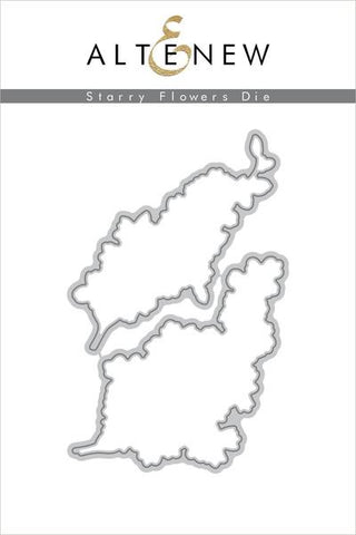 Ensemble de matrices de fleurs étoilées