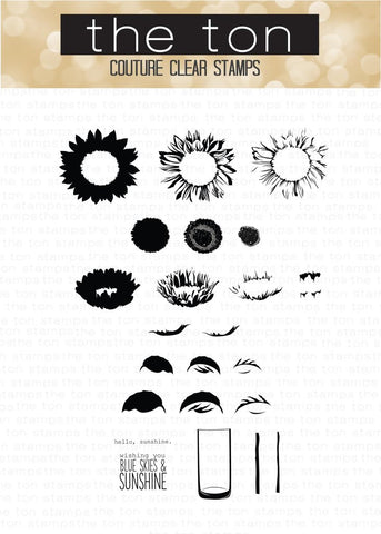 Tournesols fraîchement coupés