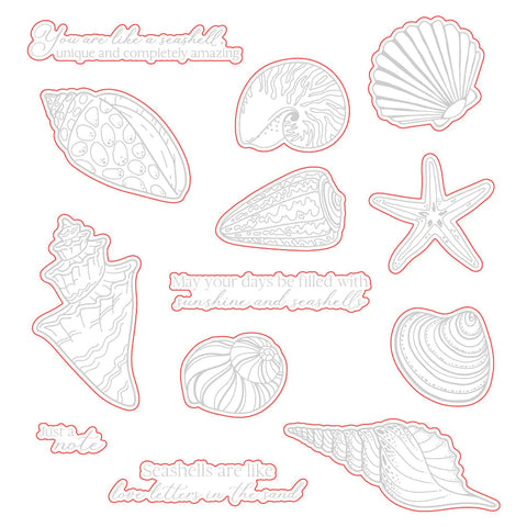 Seashells | Honey Cuts
