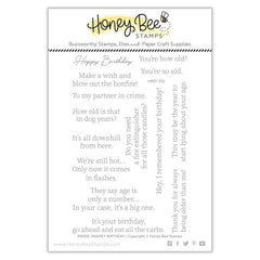 Inside: Snarky Birthday Sentiments | 4x6 Stamp Set