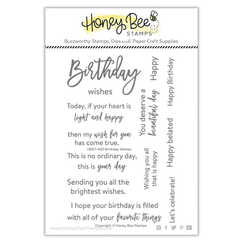 Birthday Wishes | 4x6 Stamp Set