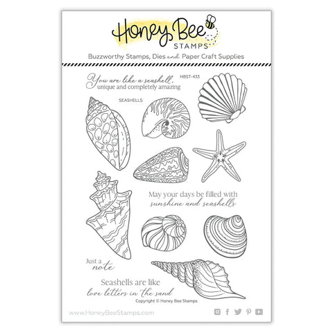 Seashells | 6x8 Stamp Set