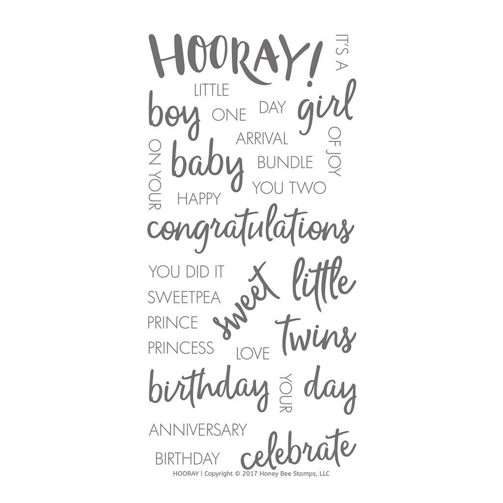 Hooray 4x8 Stamp Set