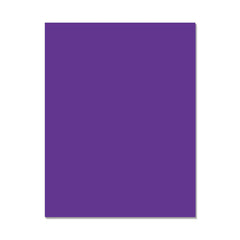 Hero Hues Premium Cardstock Iris