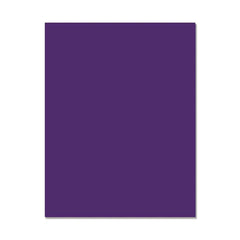 Hero Hues Premium Cardstock Eggplant