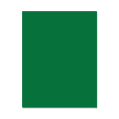 Hero Hues Premium Cardstock Shamrock
