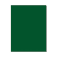 Hero Hues Premium Cardstock Pine