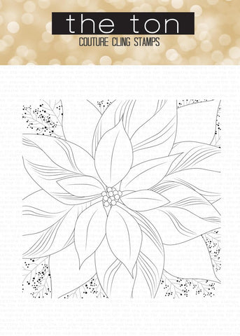 Poinsettia Close Up Cling Background