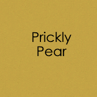 Heavy Base Weight Card stock Prickly Pear 10pk