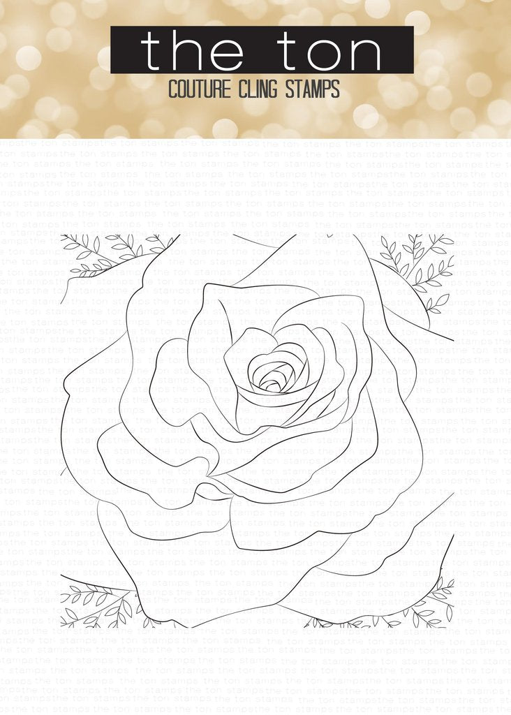 Rose Close Up Cling Background