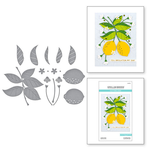 Matrices gravées au zeste de citron de la collection Be Bold