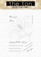 Lily Bloom*