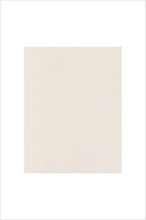 Papier cartonné blanc grain de bois (10 feuilles)