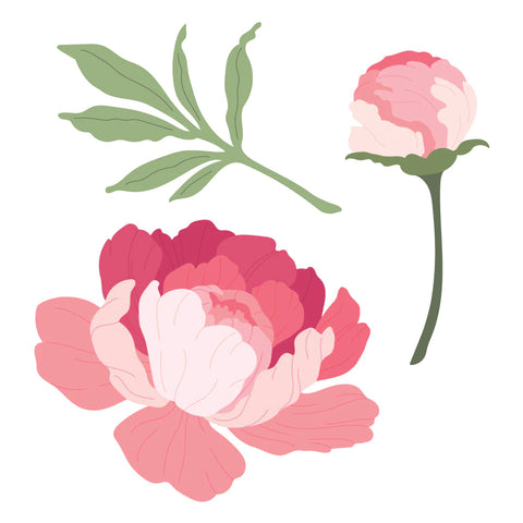 Lovely Layers: Peony | Honey Cuts Dies