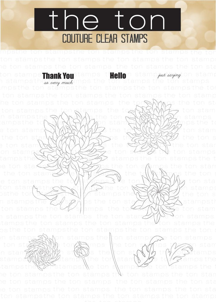 Thankful Chrysanthemum