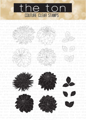 Dahlias sauvages
